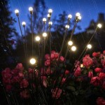Firefly Outdoor Lights