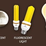How To Choose The Best Type A Outdoor Light Bulb