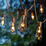 Light Bulb String Lights Outdoor - Create A Magical Ambience For Any Occasion