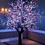 Outdoor Lighted Trees: A Guide To Illuminating Your Home's Exterior