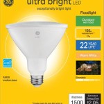 The Brightest Outdoor Light Bulb: A Comprehensive Guide
